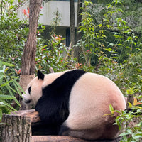 11-Day China Highlights Tour: Beijing, Xi’an, Chengdu, Shanghai