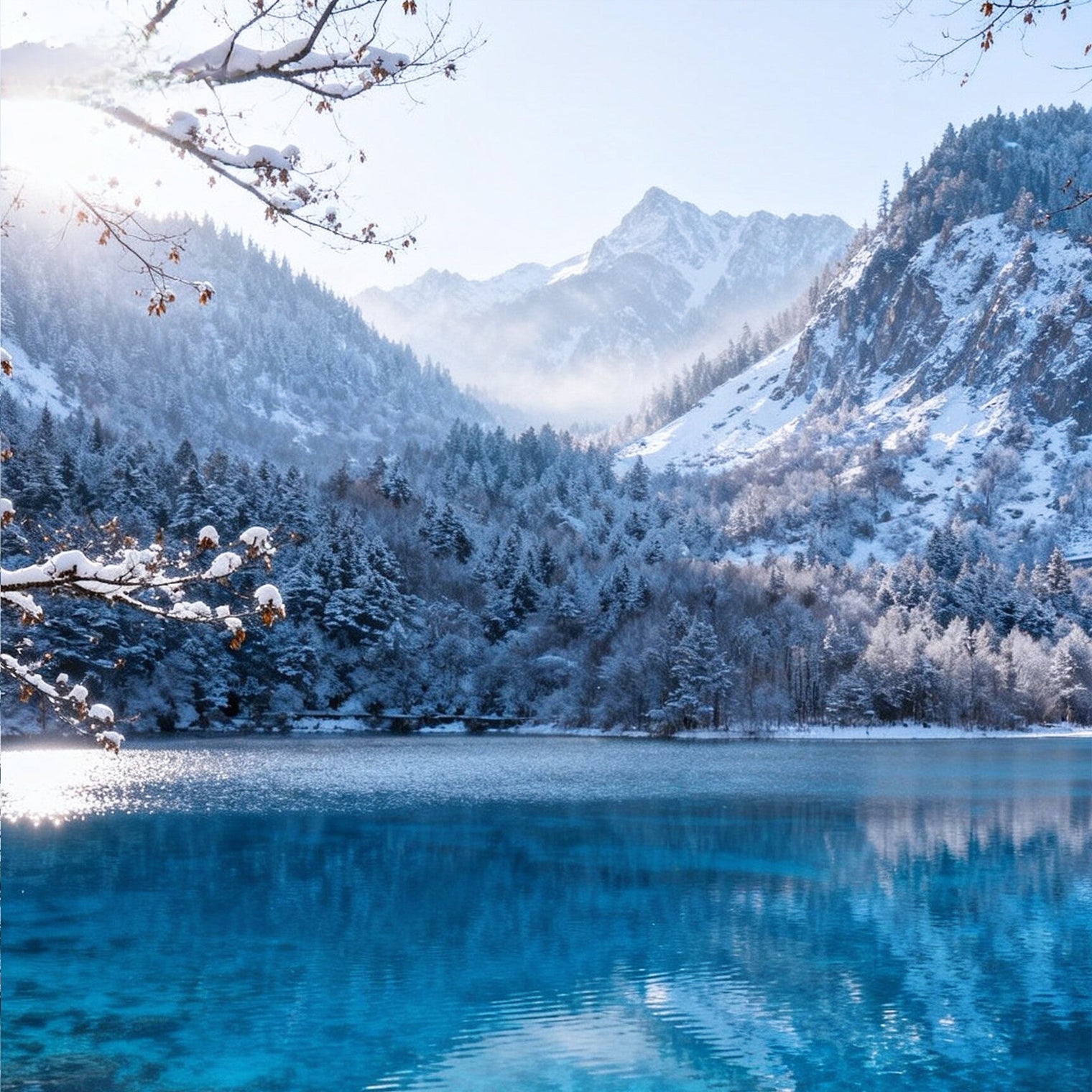 6-Day Private  Chengdu Tour