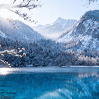 6-Day Private  Chengdu Tour