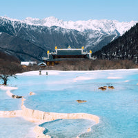 8D7N Jiuzhaigou Huanglong Mount Emei Mini Small Group Tour