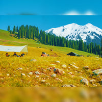 Xinjiang Kanas Yining Mini Small Group Tour