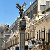 Harbin Shenyang 6D5N Mini Small Group Tour