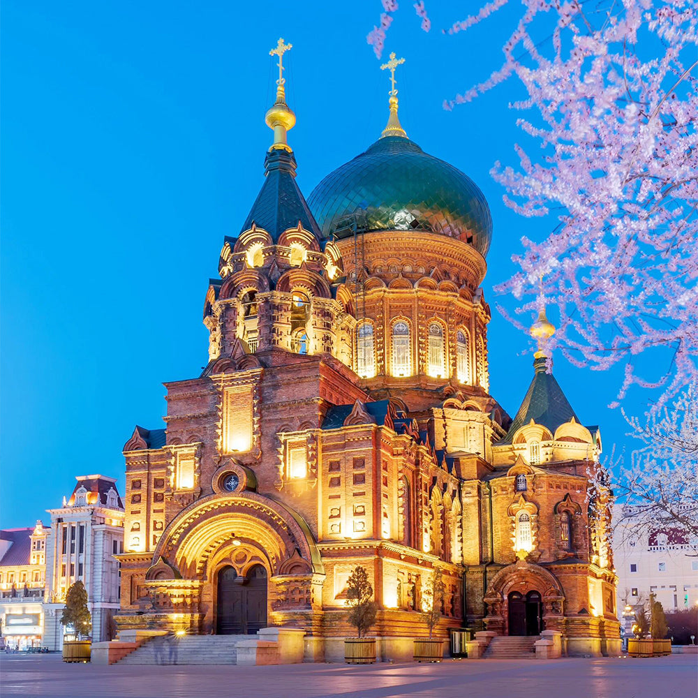 Harbin Shenyang 6D5N Mini Small Group Tour