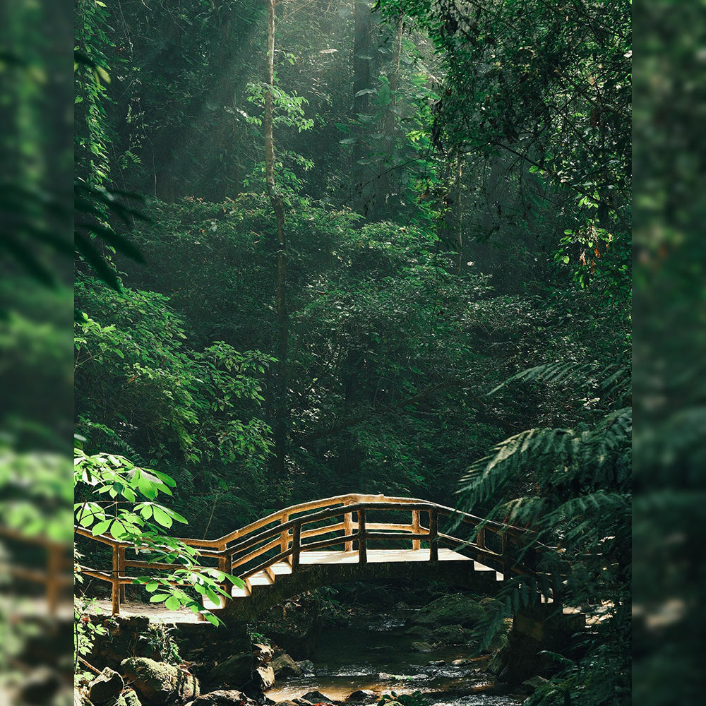 Kunming Mangshi Tengchong 8 Days 7 Nights Tour