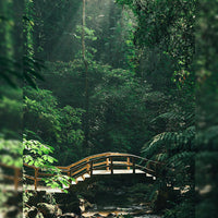 Kunming Mangshi Tengchong 8 Days 7 Nights Tour