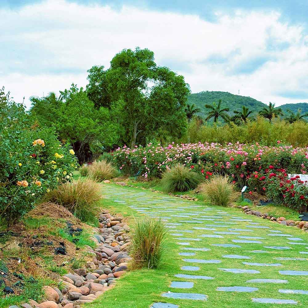 Hainan 5D4N Package Tour