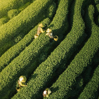 Shanghai Suzhou and Hangzhou  6-day 5-night in-depth boutique tour