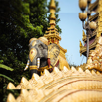 Kunming Mangshi Tengchong 8 Days 7 Nights Tour