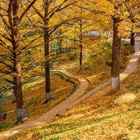 Kunming Mangshi Tengchong 8 Days 7 Nights Tour