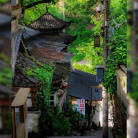 Chongqing 5D4N  Package Tour