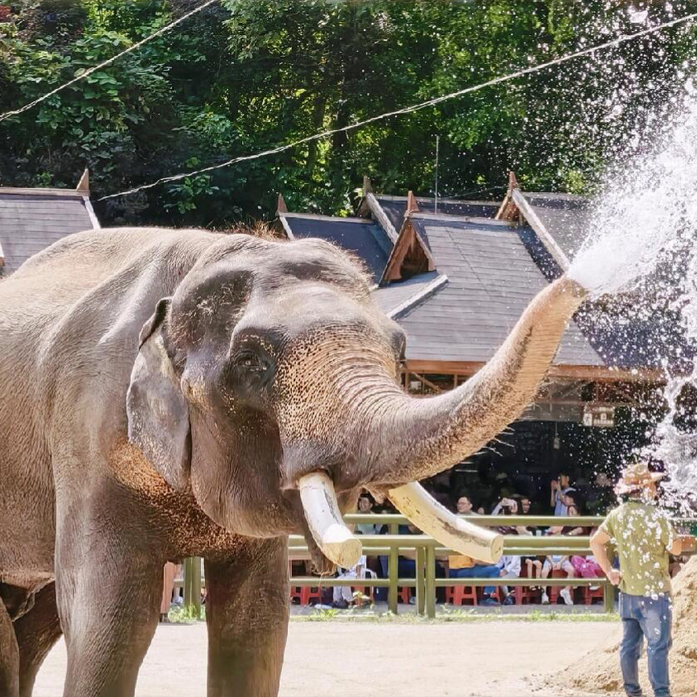 Yunnan Xishuangbanna 5 Days and 4 Nights Private Tour