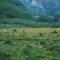 7D6N Western Sichuan Mini Small Group Tour