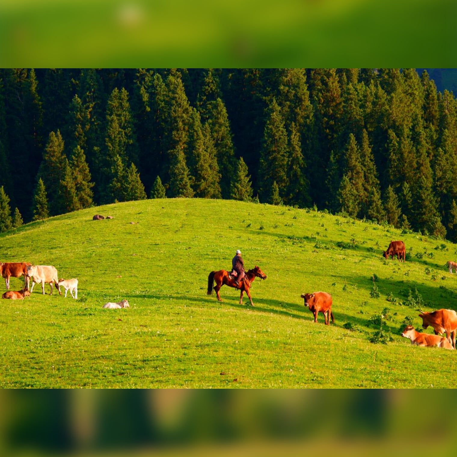 Xinjiang Kanas Yining Mini Small Group Tour