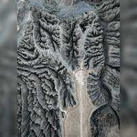 8 Days Private Tour Urumqi - Fuyun - Burqin - Kanas Lake - Hemu - Burqin - Kuitun - Urumqi