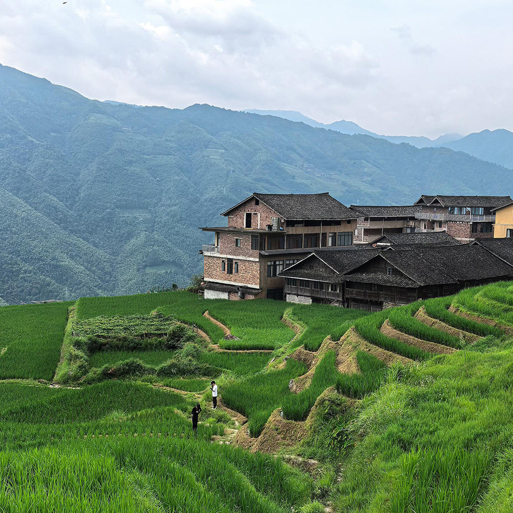 4 Days Guilin - Longsheng Rice Terraces - Yangshuo