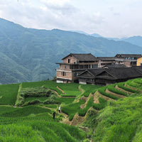 4 Days Guilin - Longsheng Rice Terraces - Yangshuo