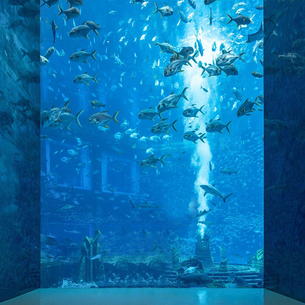 Hainan 5D4N Package Tour