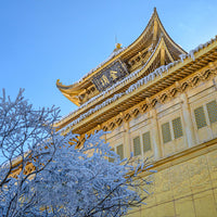 8D7N Jiuzhaigou Huanglong Mount Emei Mini Small Group Tour