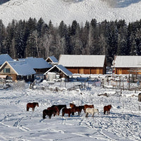 11 Days Urumqi-Burqin-Kanas Lake-Hemu-Altai-Kuitun-Huocheng-Yining-Nalati Grassland-Korla-Yanqi-Urumqi