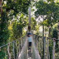 Yunnan Xishuangbanna 5 Days and 4 Nights Private Tour