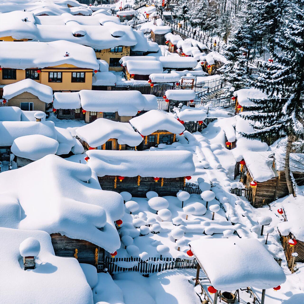 Harbin Shenyang 6D5N Mini Small Group Tour