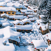 Harbin Shenyang 6D5N Mini Small Group Tour