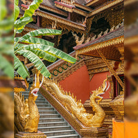 Yunnan Xishuangbanna 5 Days and 4 Nights Private Tour