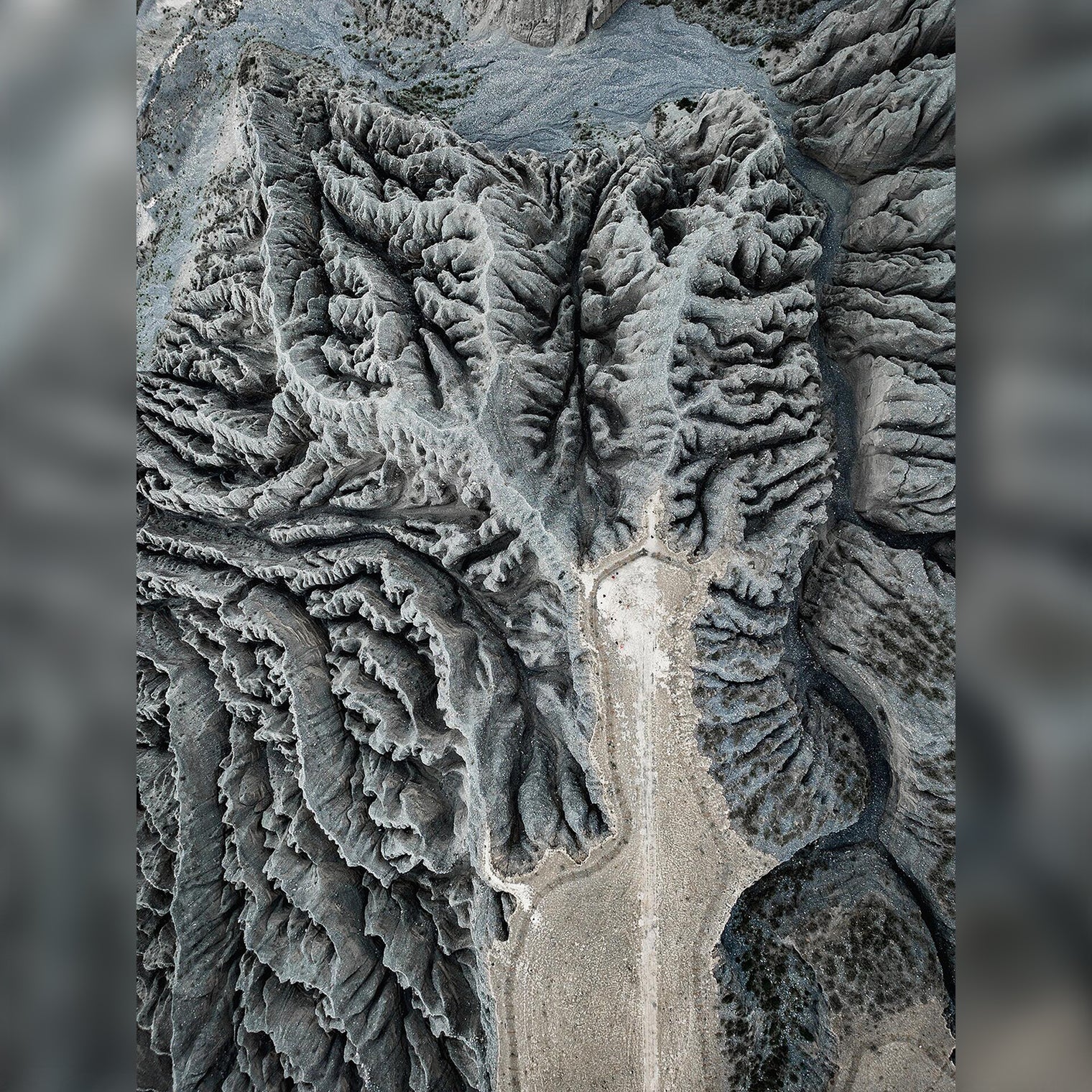 8 Days Urumqi Private Tour ；Sailimu Lake - Yining - Nalati National Forest Park - Horgos - Kuitun - Urumqi