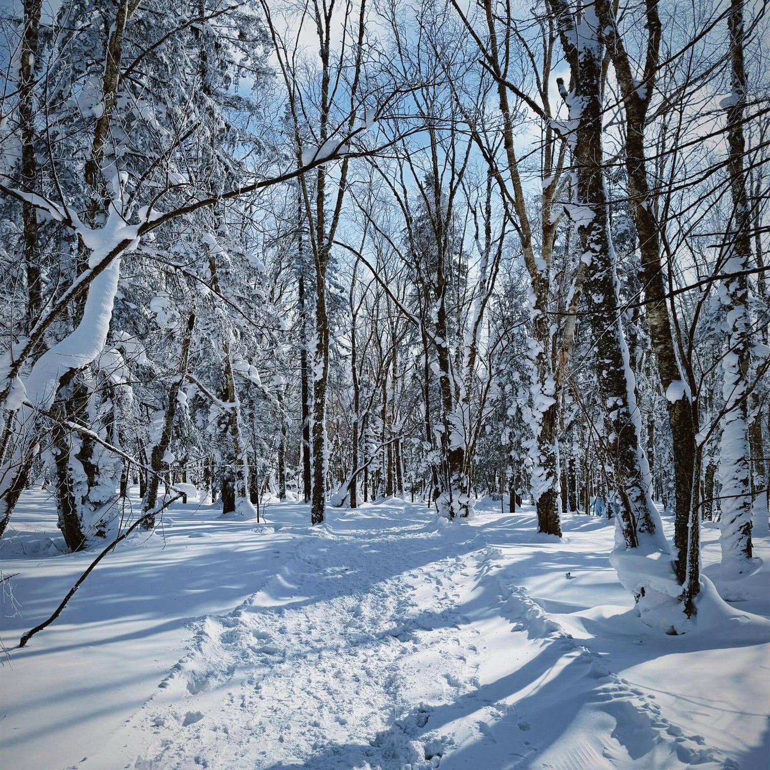 Harbin  Jilin 6D5N Small Group Tour
