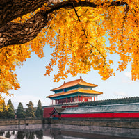 4-Day Beijing Highlights Tour: Great Wall, Forbidden City & Panda Experience