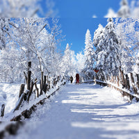 Harbin Shenyang 6D5N Mini Small Group Tour