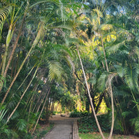 Yunnan Xishuangbanna 5 Days and 4 Nights Private Tour