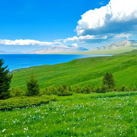 8 Days Private Tour Urumqi - Fuyun - Burqin - Kanas Lake - Hemu - Burqin - Kuitun - Urumqi