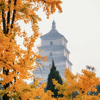 4-Day Xi’an Tour Itinerary