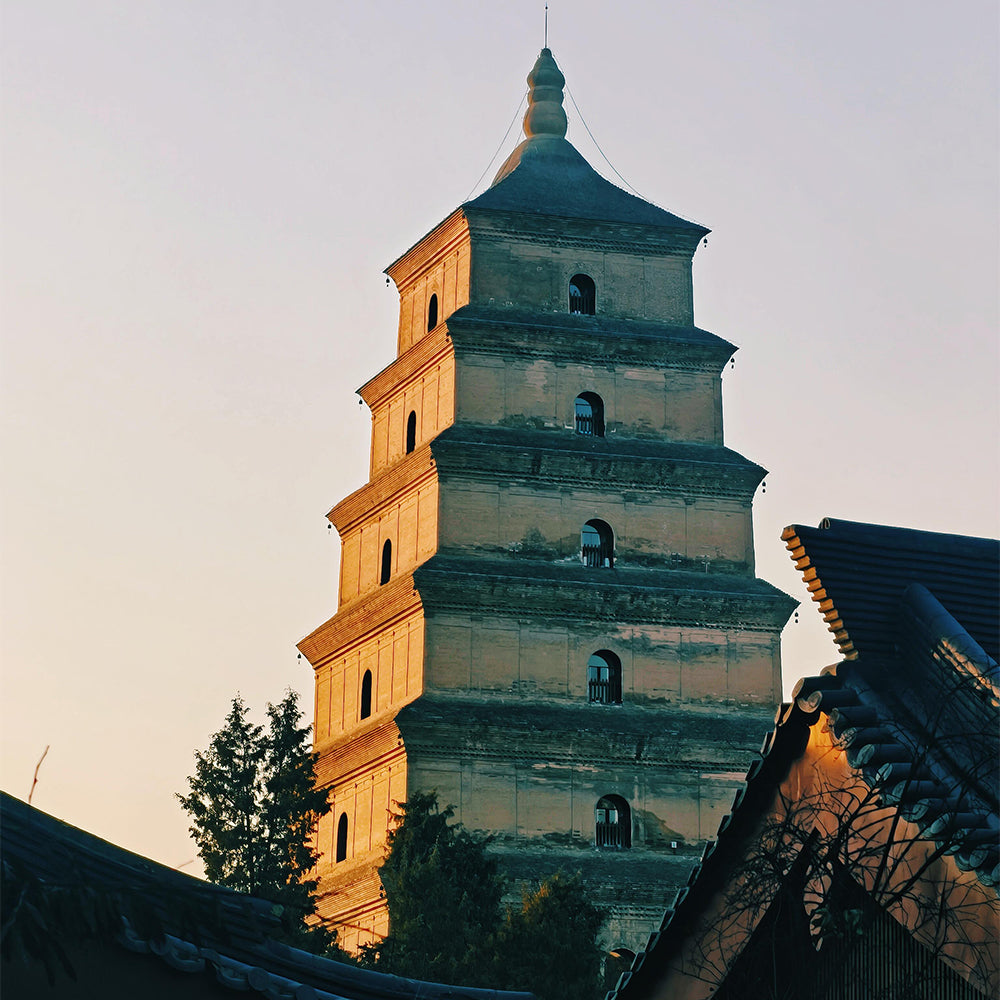11-Day China Highlights Tour: Beijing, Xi’an, Chengdu, Shanghai