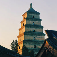11-Day China Highlights Tour: Beijing, Xi’an, Chengdu, Shanghai