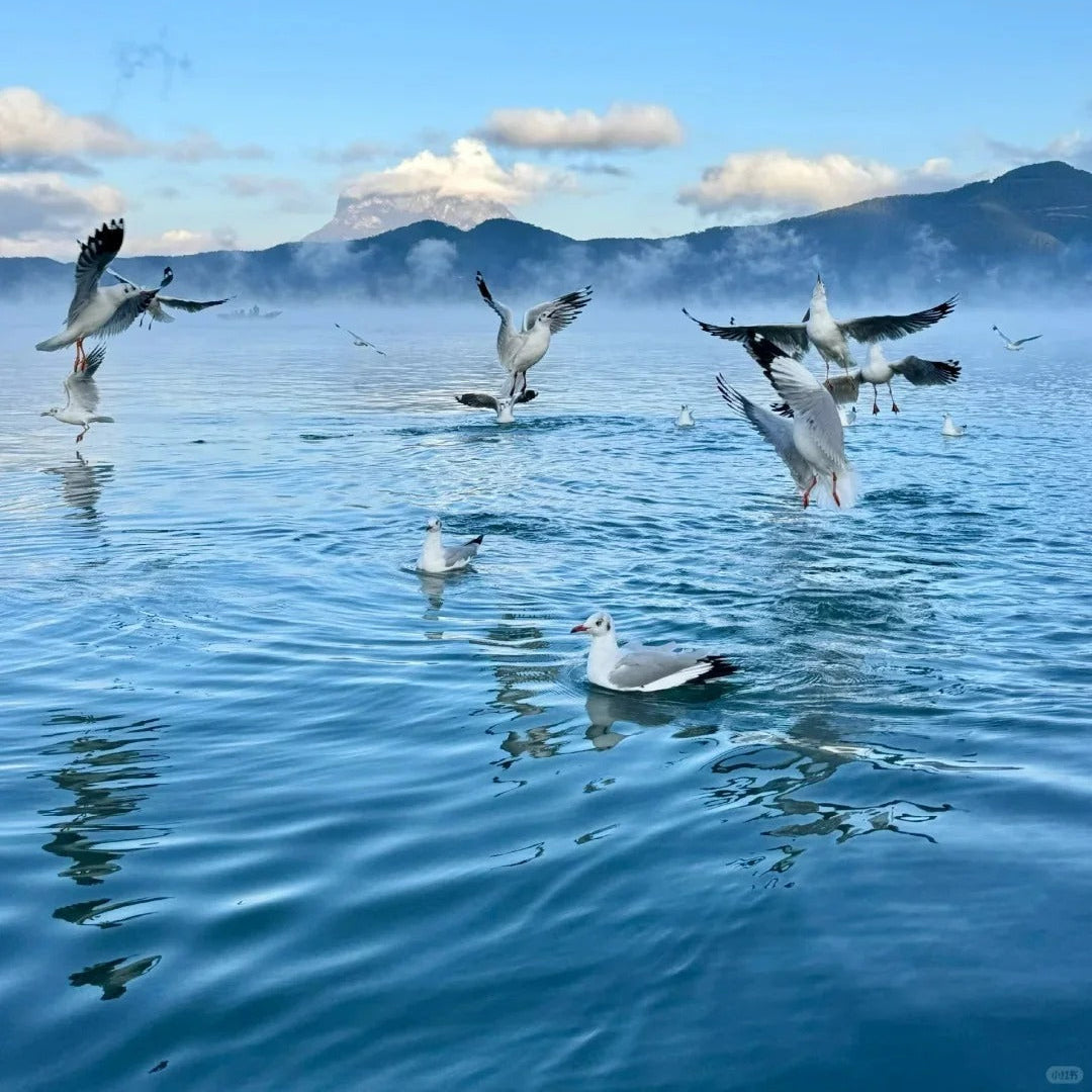 Lijiang Shangri-La Lugu Lake Quality Tour 7 Days 6 Nights