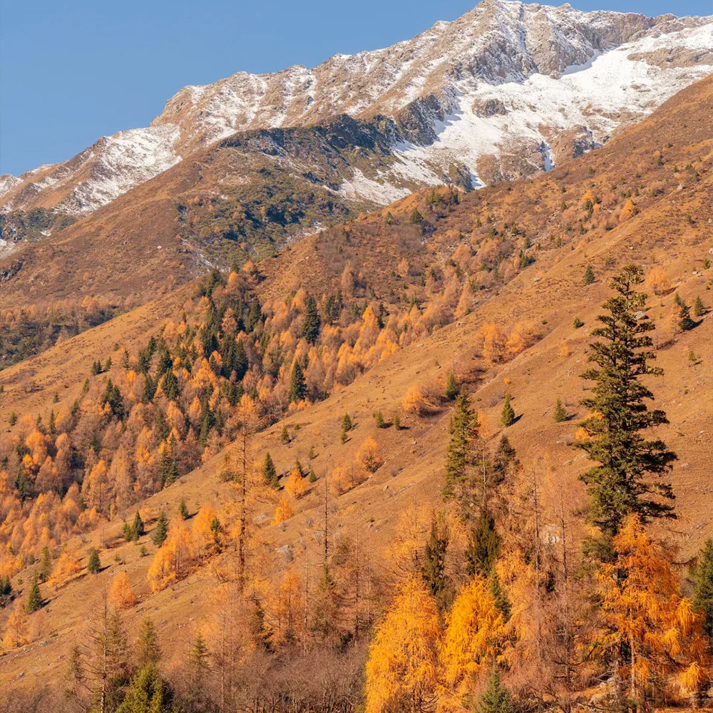 8D7N Jiuzhaigou Siguniang Mountain Mini Small Group Tour