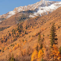 8D7N Jiuzhaigou Siguniang Mountain Mini Small Group Tour