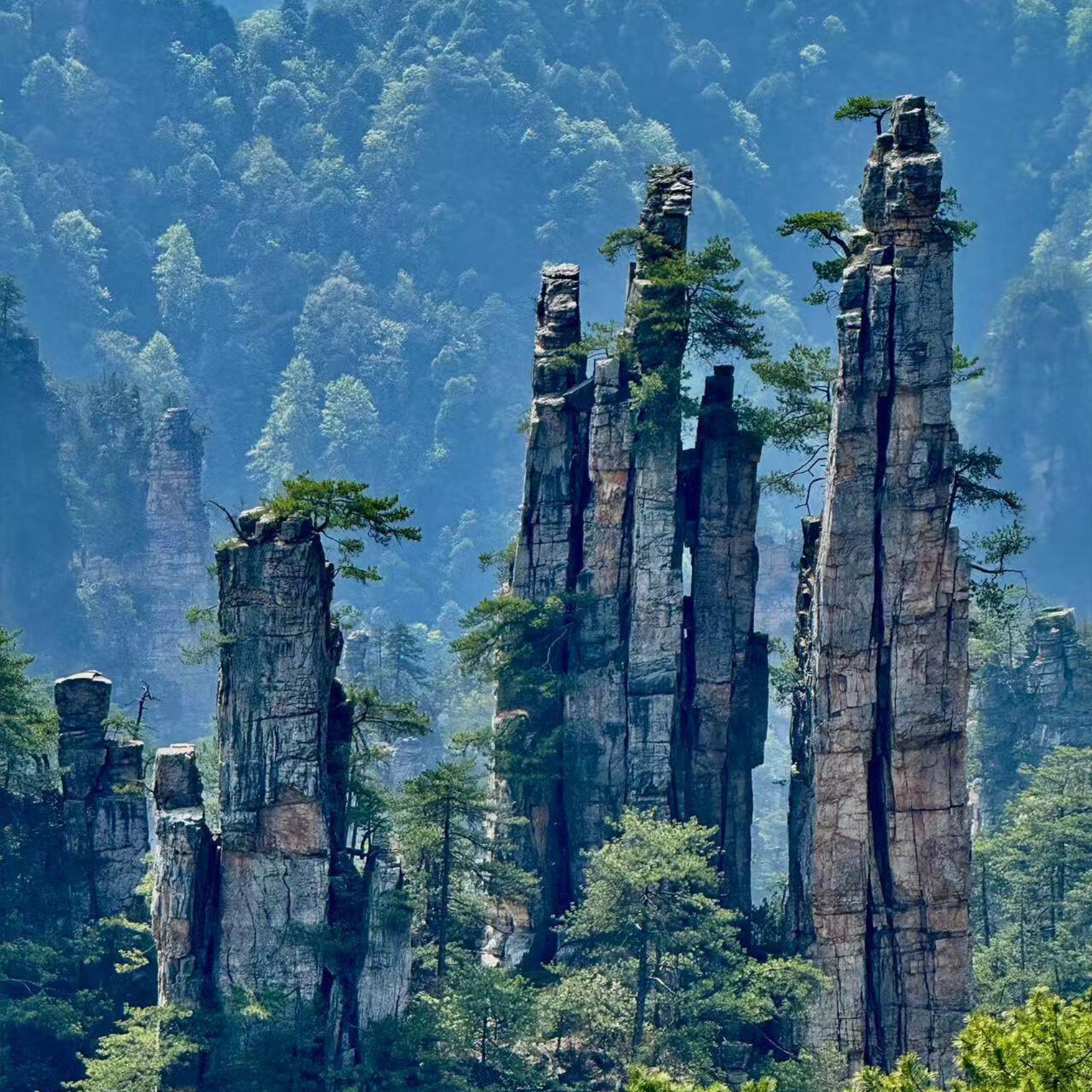 6 Days 5 Nights Beautiful Tianmen Package Tour