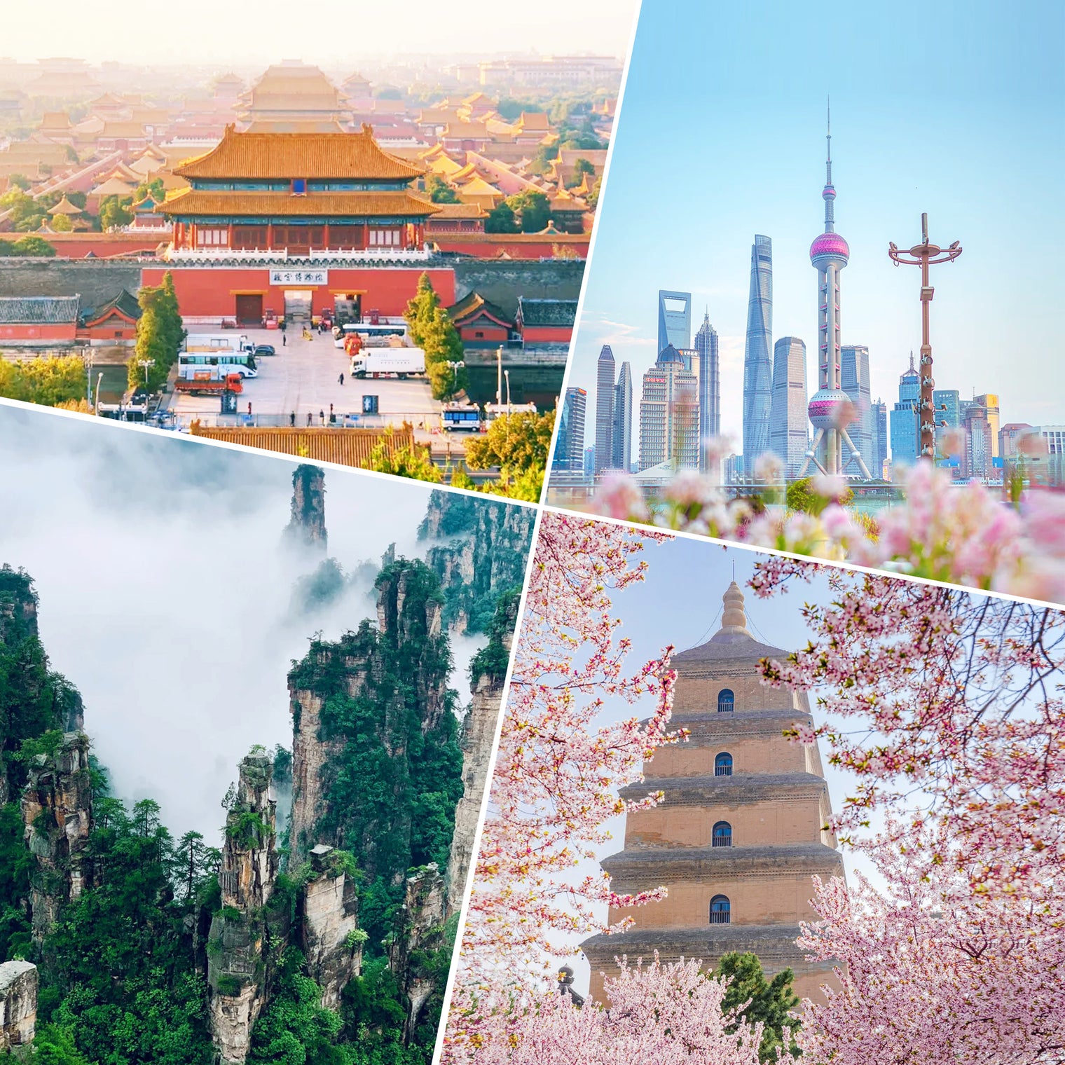 11-Day Classic Journey Through Shanghai, Zhangjiajie, Xian & Beijing