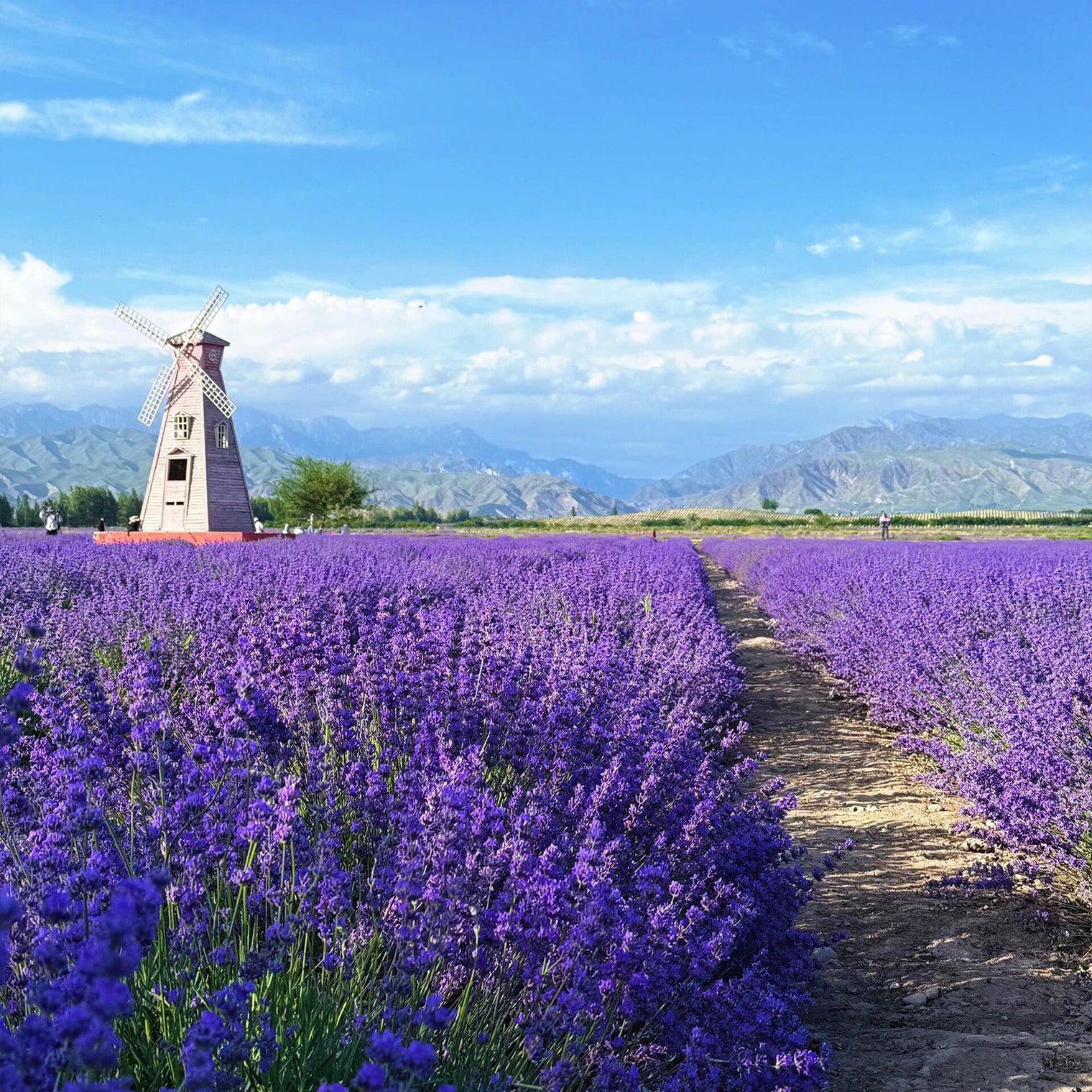 Xinjiang Yining Mini Small Group Tour