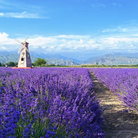Xinjiang Yining Mini Small Group Tour
