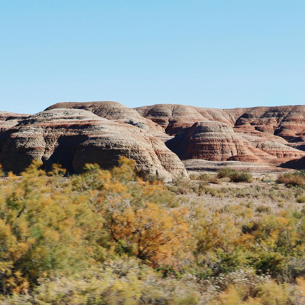 8 Days Private Tour Urumqi - Fuyun - Burqin - Kanas Lake - Hemu - Burqin - Kuitun - Urumqi
