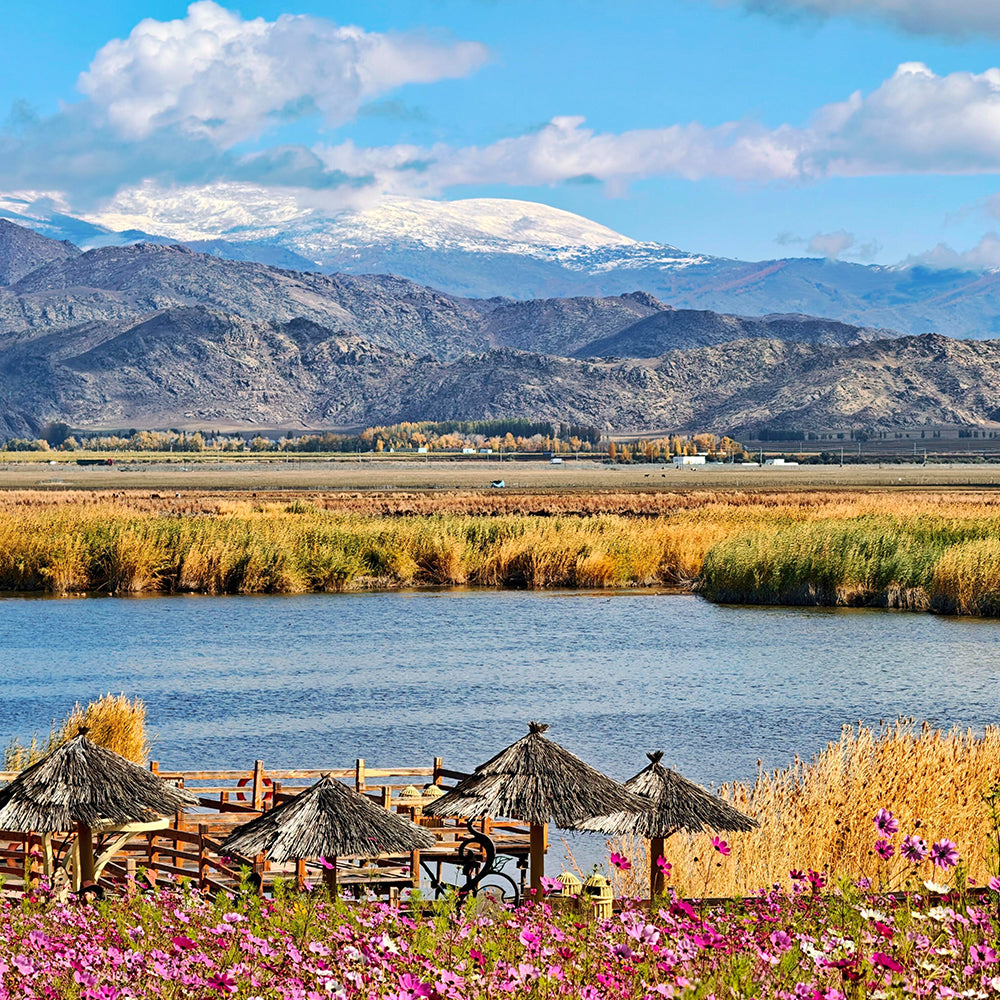 8 Days Private Tour Urumqi - Fuyun - Burqin - Kanas Lake - Hemu - Burqin - Kuitun - Urumqi