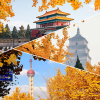 8-Day Beijing, Xi'an & Shanghai Tour: Explore China’s Cultural Gems