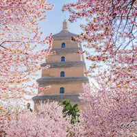 4-Day Xi’an Private Tour