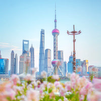 3 Days in Shanghai: A Journey of Ancient and Modern Times