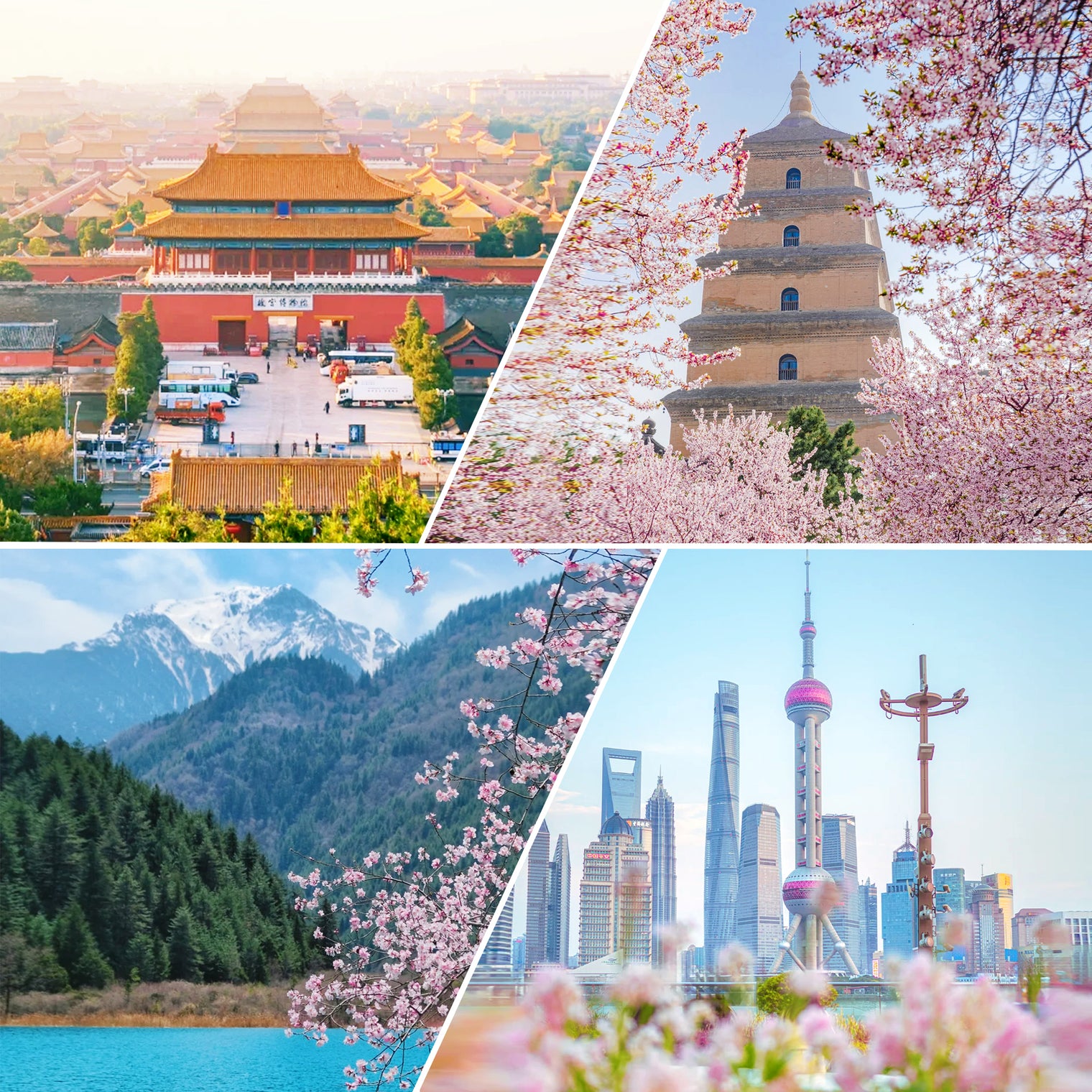 11-Day China Highlights Tour: Beijing, Xi’an, Chengdu, Shanghai