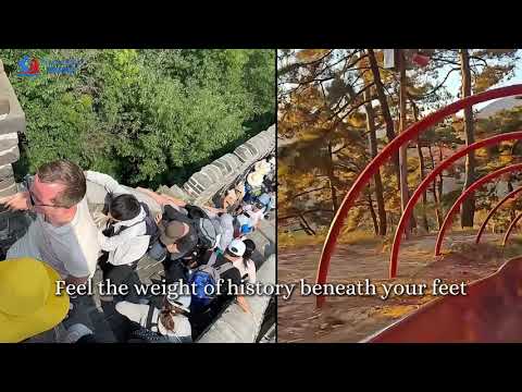 8-Day Beijing, Xi'an & Shanghai Tour: Explore China’s Cultural Gems